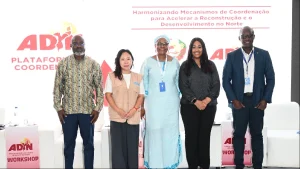 A Agência do Norte injeta 650 milhões de meticais em projectos de emprego e inclusão produtiva, consolidando a estabilidade económica no norte de Moçambique.