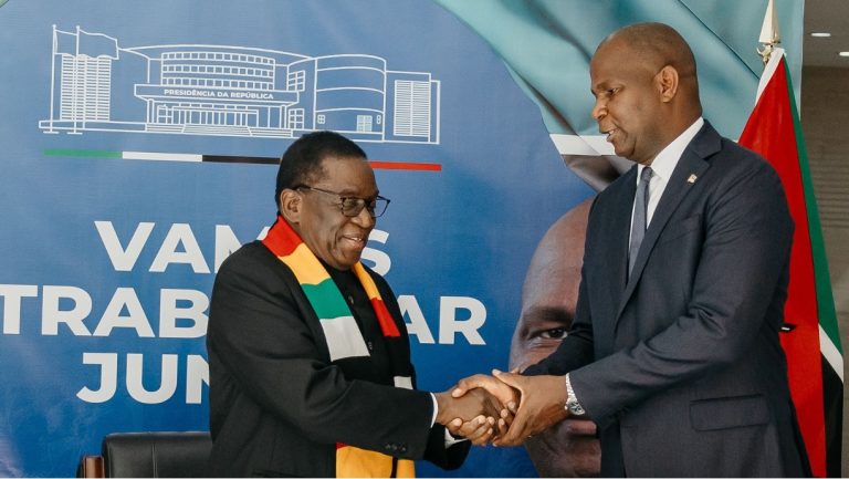Zimbabwe elogia cooperação económica impulsionada por Daniel Chapo