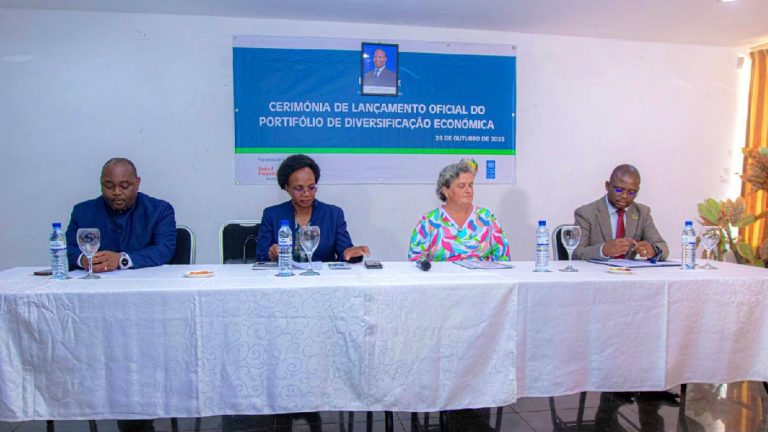 Niassa lançou o Projecto INOVAMOZ, um programa de 280 mil dólares para apoiar pequenas e médias empresas e fortalecer cadeias de valor agrícolas e turísticas.