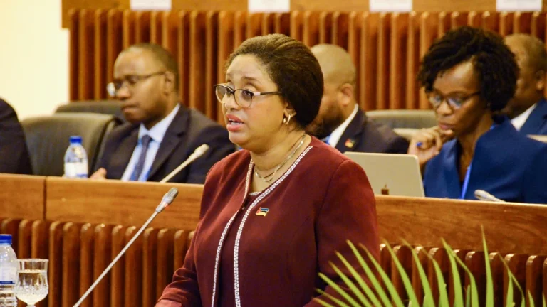 Moçambique avança com nova Autoridade de Supervisão