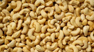 Novos preços reforçam competitividade da castanha moçambicana