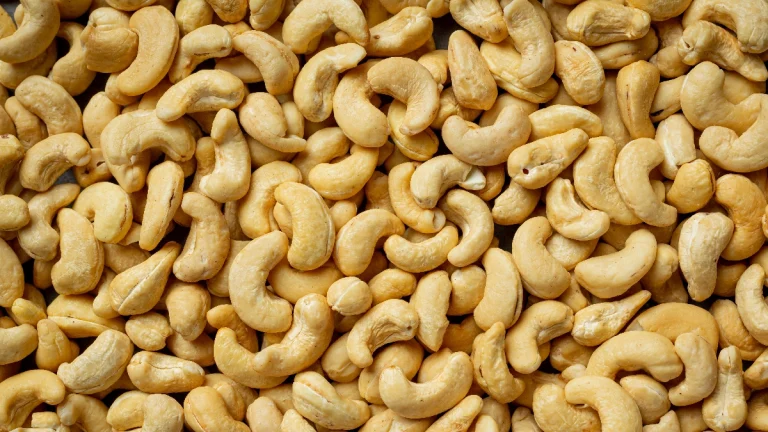 Novos preços reforçam competitividade da castanha moçambicana