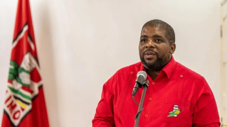 FRELIMO e ANC renovam parceria histórica