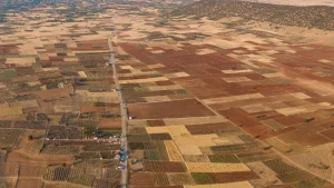 Governo triplica talhões urbanizados com Terra Infra-Estruturada