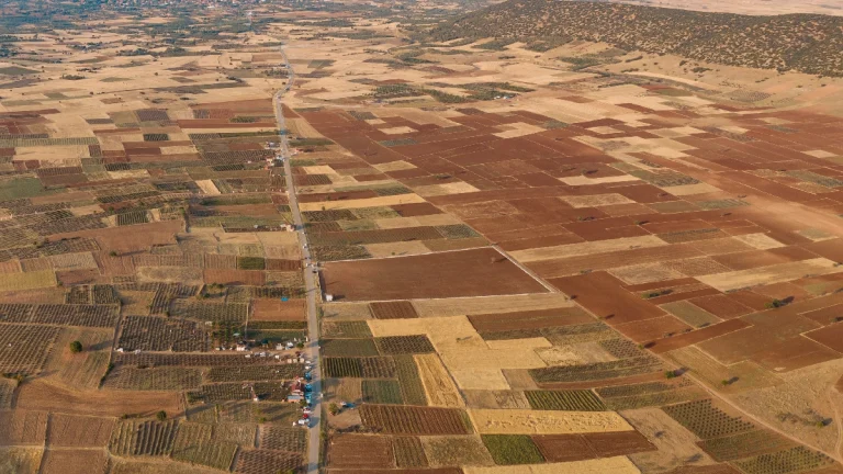 Governo triplica talhões urbanizados com Terra Infra-Estruturada
