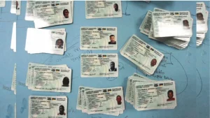 INATRO acelera emissão de cartas de condução
